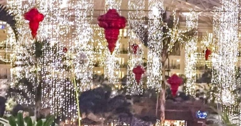 Opryland Christmas Lights