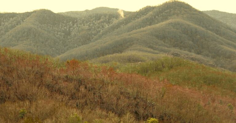 Smoky Mountains in Gatlinburg with orange and red leaves in fall