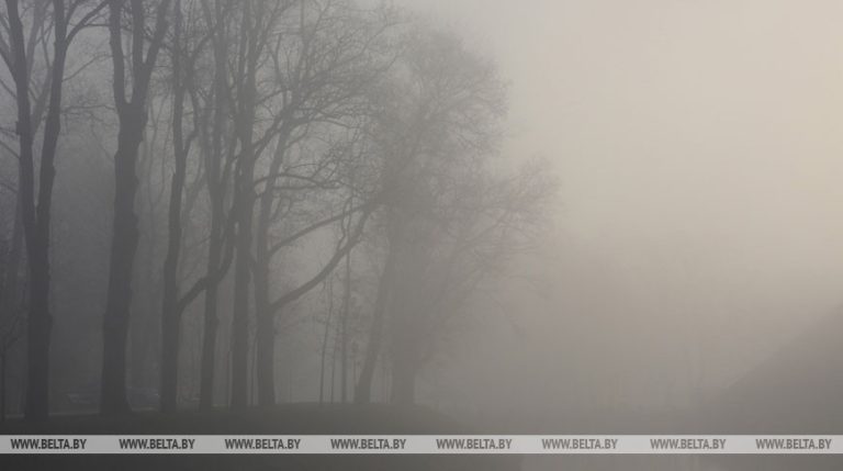 Оранжевый уровень опасности из-за тумана объявлен в Беларуси 17 декабря