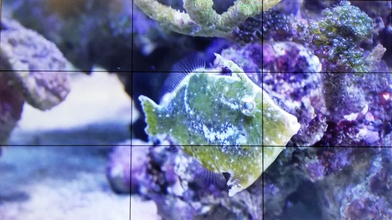 Milwaukee Video Wall Rental