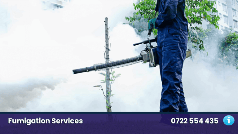 fumigation nairobi kenya experts