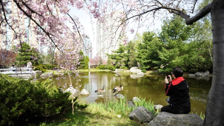 Here are downtown Mississauga’s best parks worth visiting