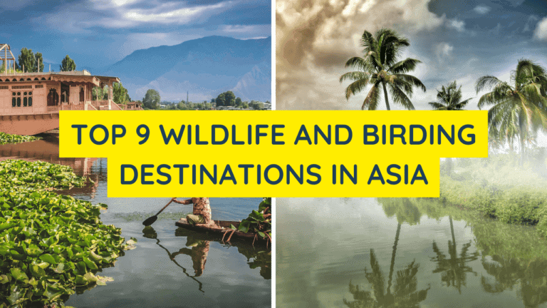 Top 9 Wildlife and Birding Destinations in Asia Feature