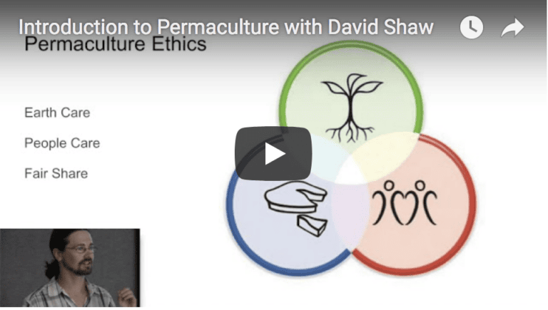 Introduction to Permaculture with David Shaw
