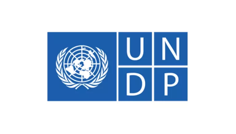 Logo UNDP