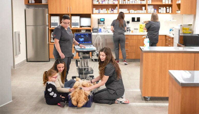 24/7 Emergency Veterinary Hospital with Unique Approach Opens in Etobicoke