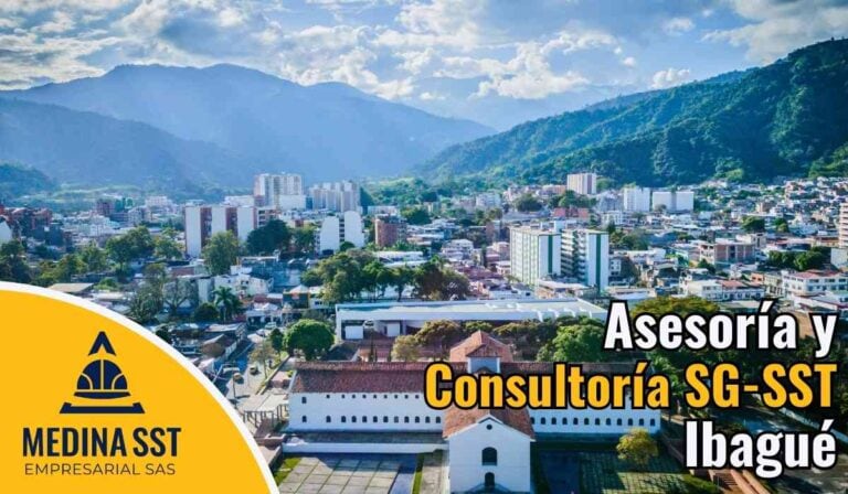 Auditoría de cumplimiento legal y estándares mínimos del SG-SST en Ibagué