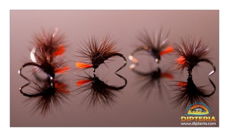 Micro mouches montage paraloop