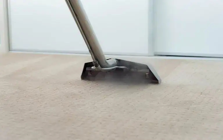 professional carpet cleaning work