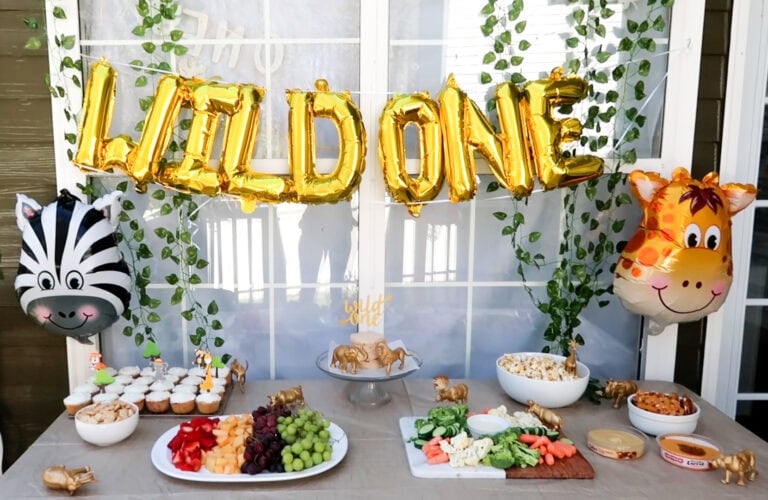 Wild One First Birthday Party on a Budget!