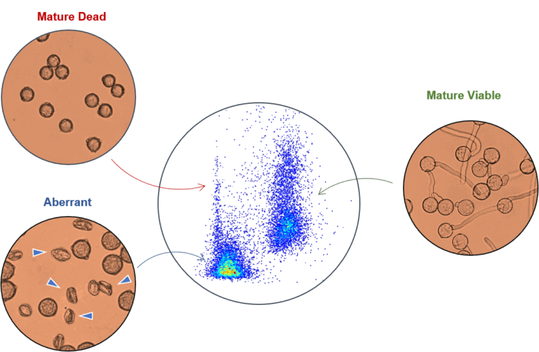 Visualization of mature viable, mature dead and aberrant tomato pollen