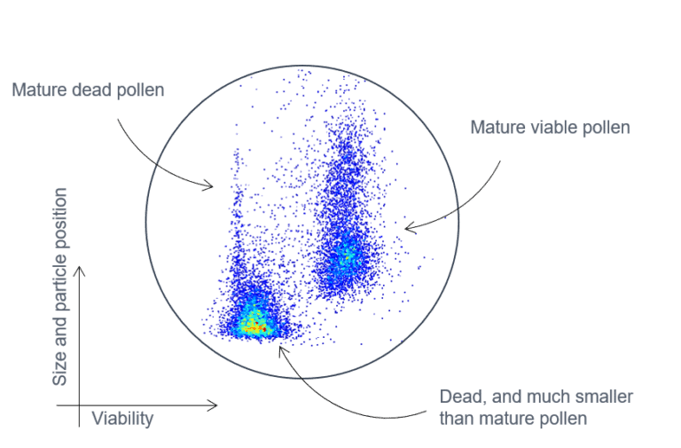 Visualization of scatterplot of analyzed tomato pollen