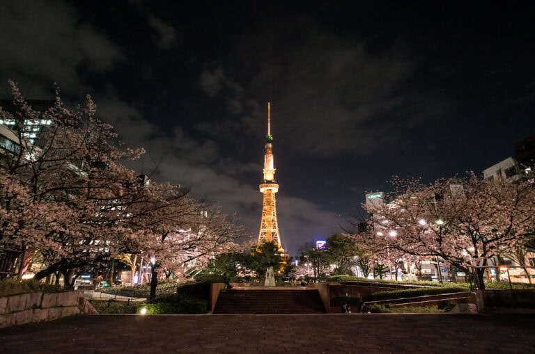 YOSAKOI的索朗祭 Hisaya Odori Park