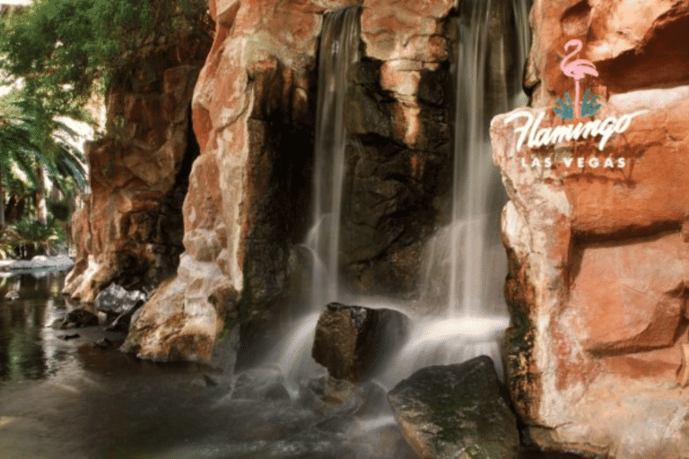 the water fall of the flamingo garden