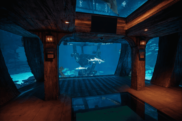 A ship reck with underwater views in the Shark reef aquarium