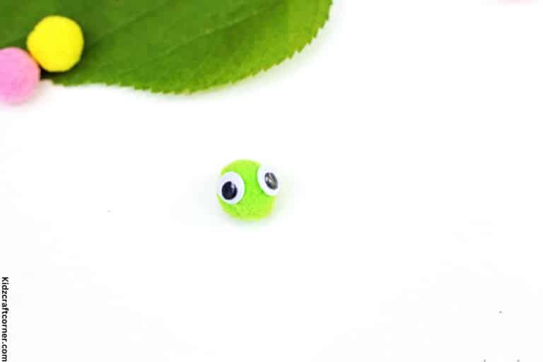 eyes on caterpillar