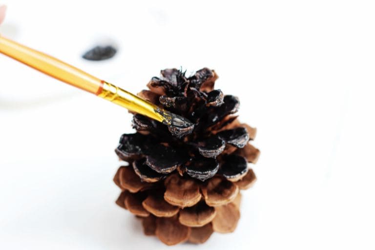 painting pinecone black