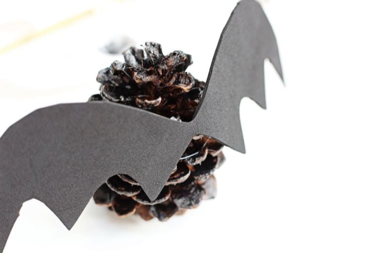 wings on pinecone bat
