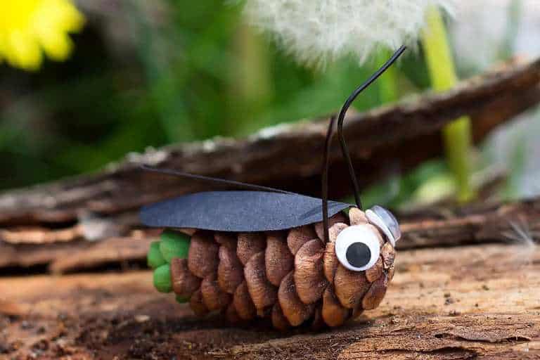 pinecone firefly