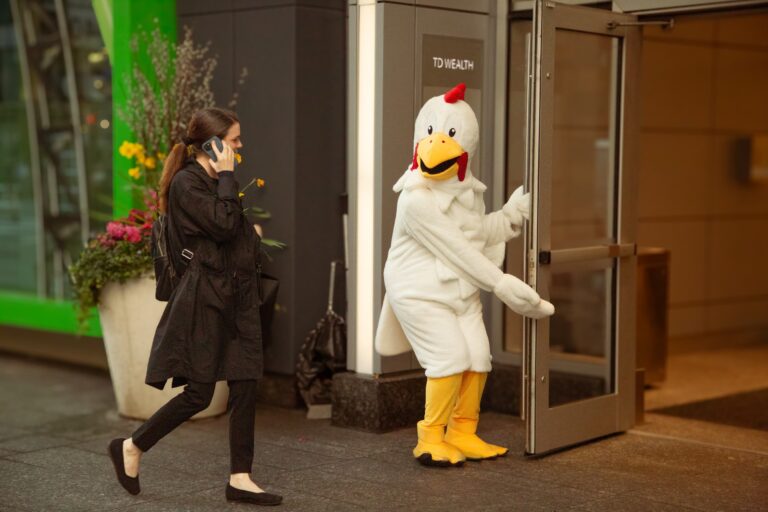 What’s up with all the chickens in Toronto?