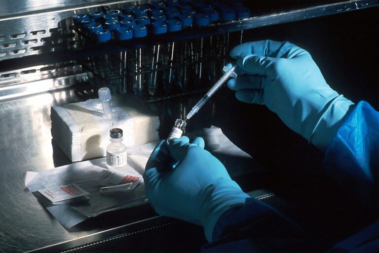 The Evolution of Obesity Research: Understanding New Horizons in Endocrine and Metabolic Care