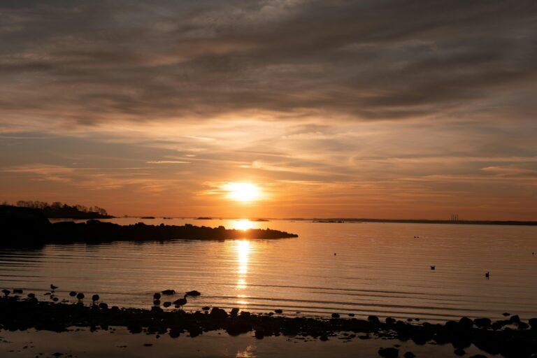 unrise over a calm shoreline, symbolizing new beginnings and spiritual awakening.