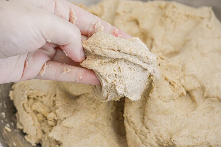 Einkorn Whole grain Sourdough Bread Dough