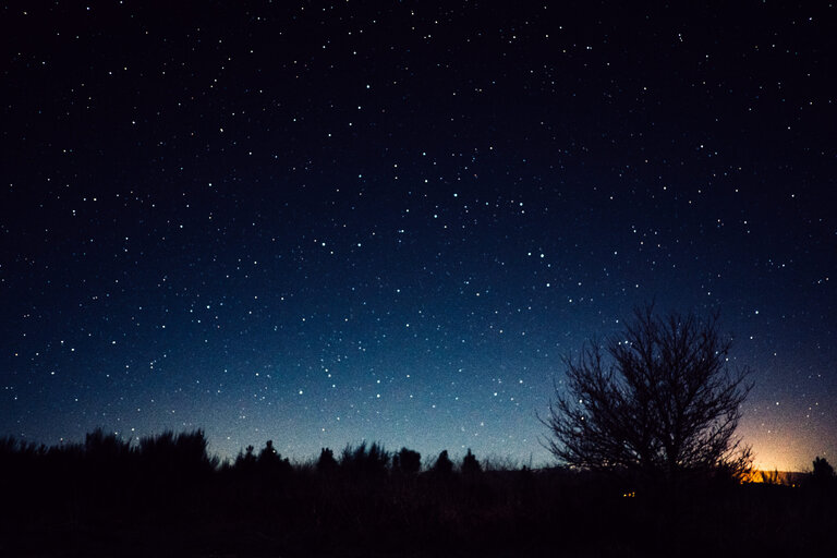 Read more about the article Cosmic Centric Getaway Trends | at White Fence Farm