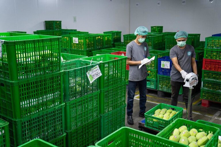 TaniHub Intensively Expands to Regions after Receiving IDR 942 Billion (source: special) TaniHub Intensively Expands to Regions after Receiving IDR 942 Billion