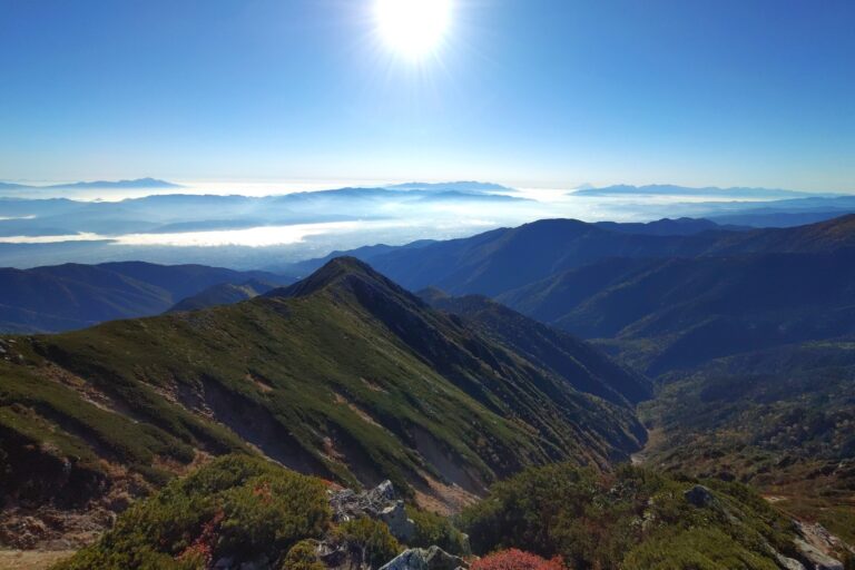 歩いてきた道を眺める