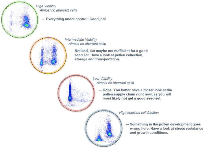 Overview of different results of pollen quality analysis in tomato