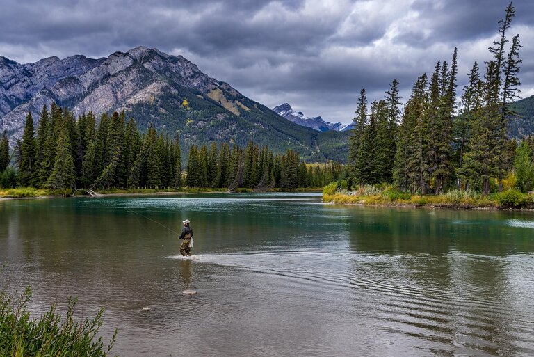Bug Report: Banff National Park, Alberta – 2026-03-17