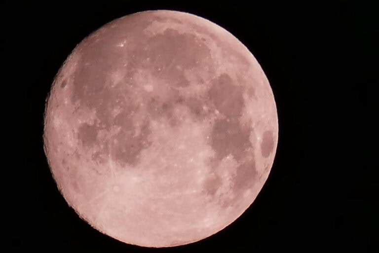 Toronto Night Sky in November: Where to Catch the Full Beaver Moon, Meteor Showers, and More