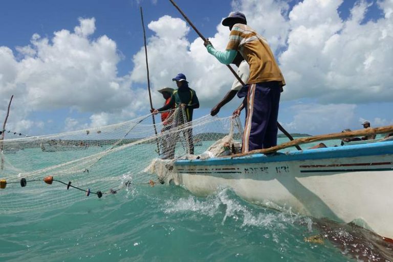Rodrigues Island Seine Fishing