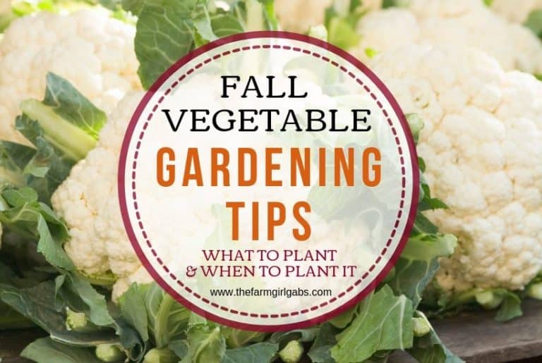 Fall Vegetable Gardening Tips