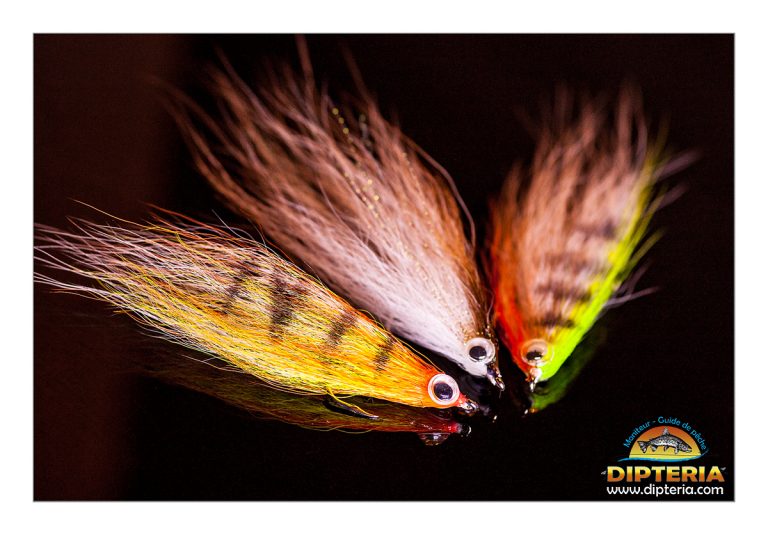 Mouche Imitant des poissons pour la pêche au carnassier comme le brochet ou le black bass