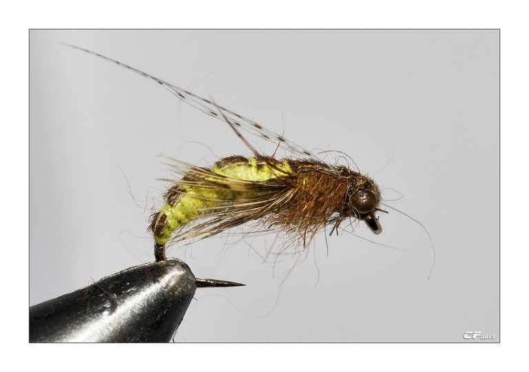 imitation réaliste d'une pupe de trichoptère au moment de l'émergence