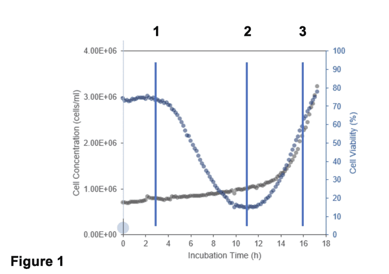 Online monitoring of yeast fermentation 2