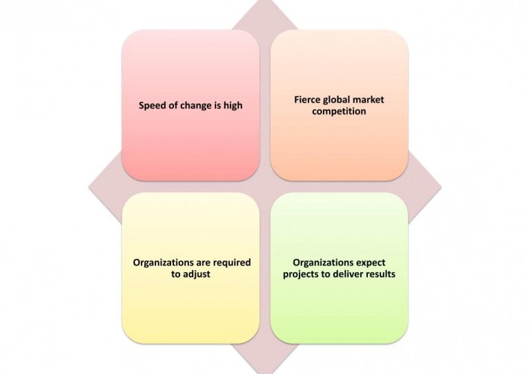 PMI-VUCA