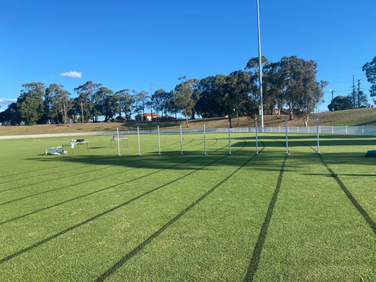 251995416 6474415349266300 3424360951025521574 n 768x576