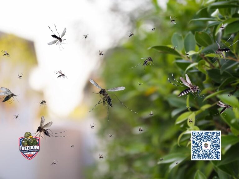 Mosquito Control in Holly Springs, NC