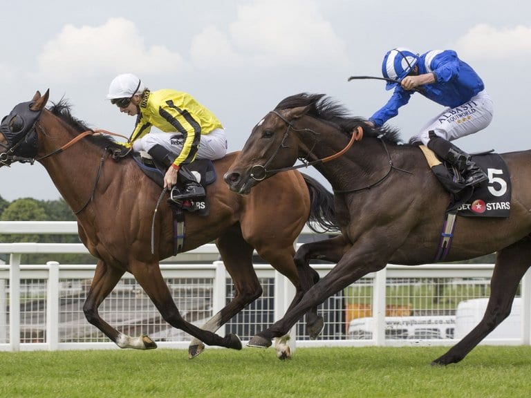 Franklin D Goodwood tip