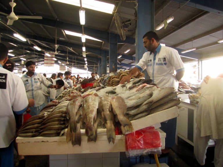 Dubai Fish market