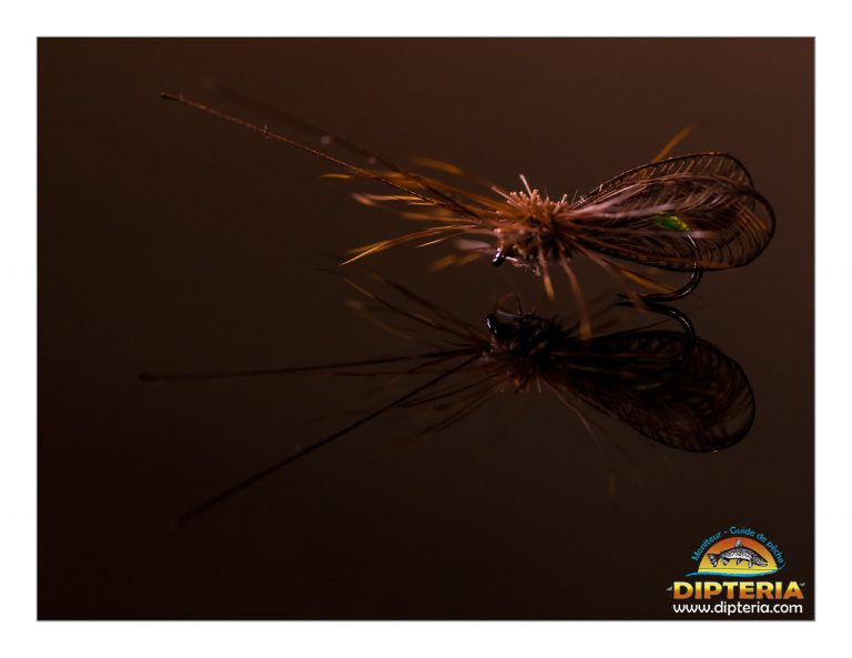 Sedge façon réaliste par Dipteria