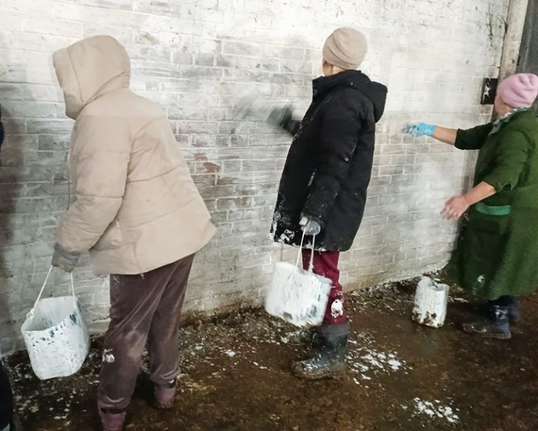 Сегодня на Будакошелевщине проходит субботник на объектах сельского хозяйства