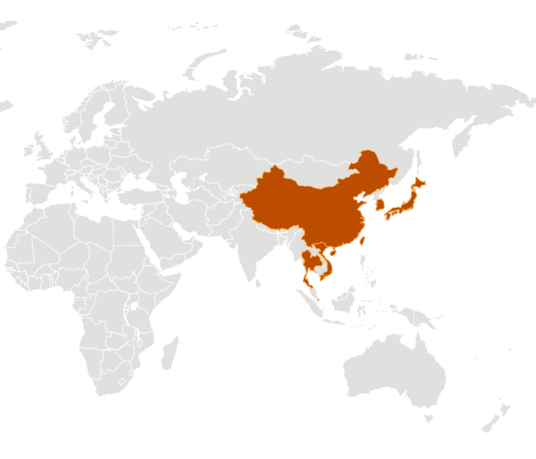 China quarantines 14 of its cities to contain coronavirus: Over 30 million now affected