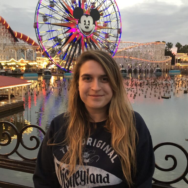 Enjoying a magical evening at Disneyland with the iconic Ferris wheel and vibrant lights.