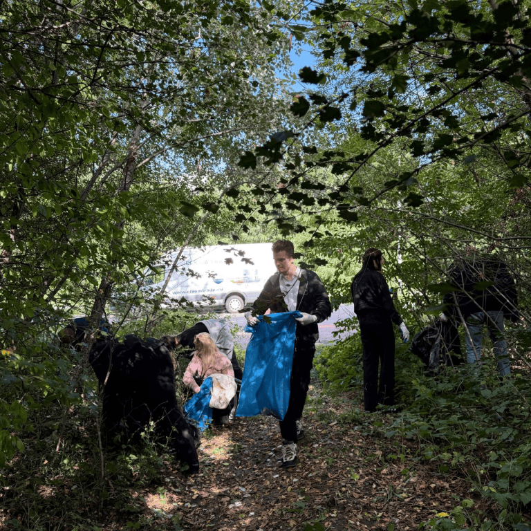 world cleanup_sustainable development