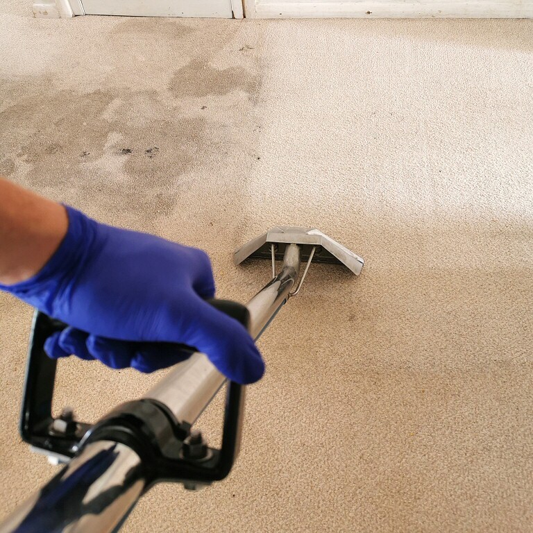 Domestic Carpet Cleaning