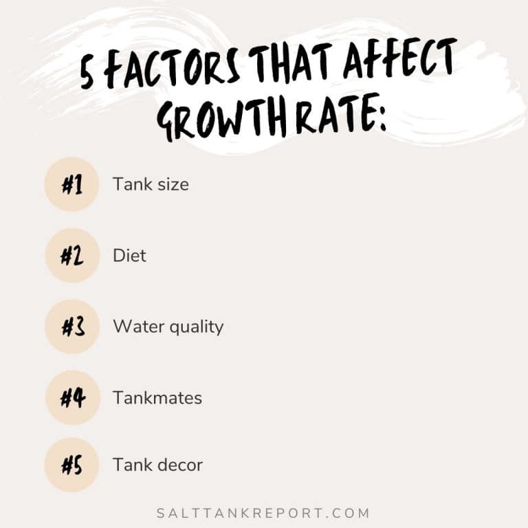 5 factors that affect growth rate